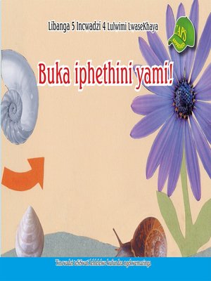 cover image of Siswati Graded Reader:Gr5, Book 4 Buka Iphethini Yami
